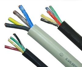 氟(fu)塑(su)料耐高溫電(dian)纜0.3/0.5KV
